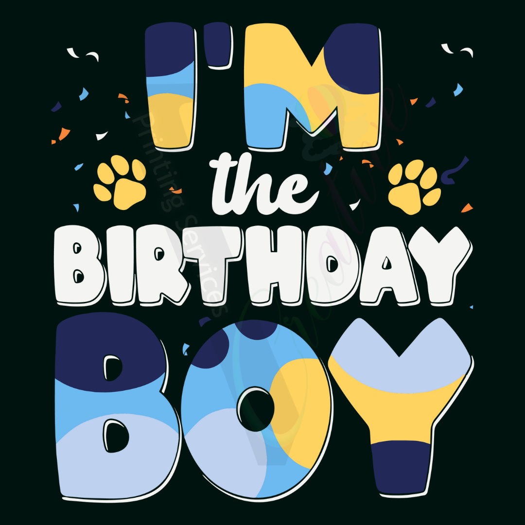 Birthday Boy - Bluey
