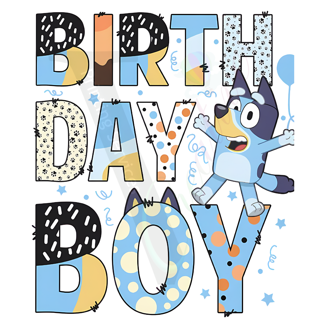 Birthday Boy - Bluey 2