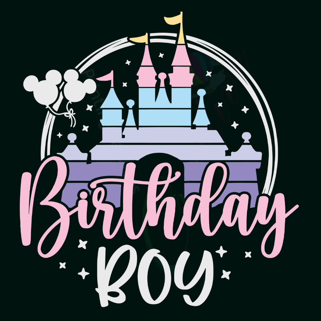 Birthday Boy - Disney Castle