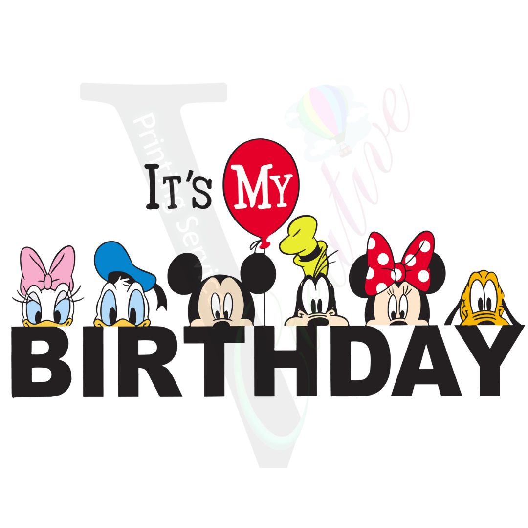 It's MY Birthday Mickey and Friends